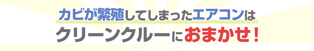 カビが繁殖してしまったエアコンはクリーンクルーにおまかせ!