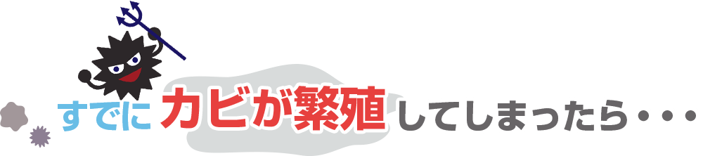 しかしすでにカビが繁殖してしまったら