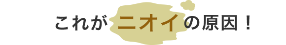 これがニオイの原因！