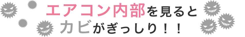 エアコン内部を見るとカビがぎっしり！！